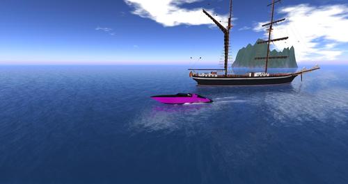 Web 59385039289dd235d6000001