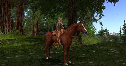 Web 593a692973ed17360e000001