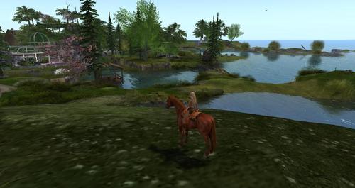 Web 593a6962d9859c778b000001