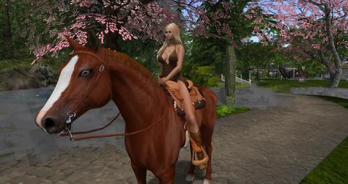 Web 593a6b5e73ed1744b6000001