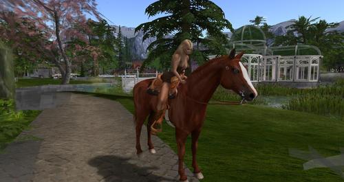 Web 593a6b8a289dd2635c000001