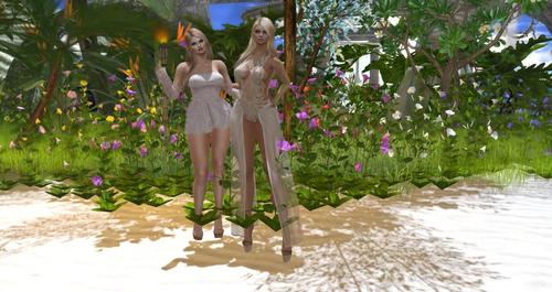 Web 59409c85d774f84a3b000001