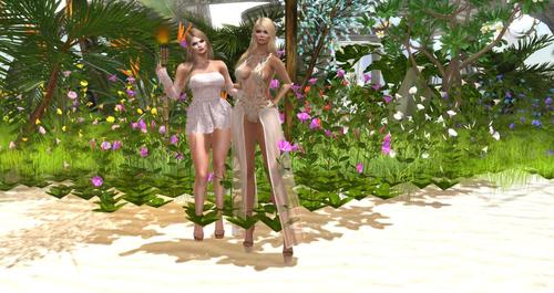 Web 59409caed774f84ca8000001