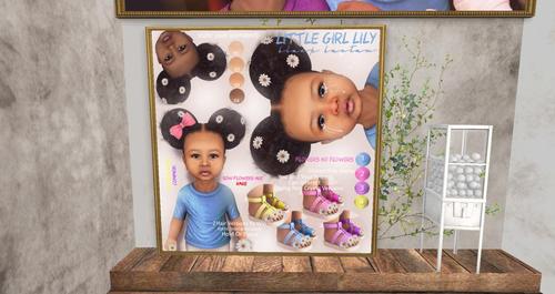 Web 5944febfd774f84fd3000001