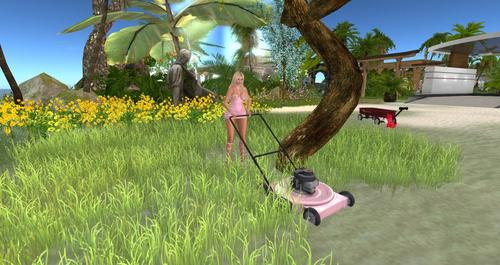 Web 594aff18d9859c2ff8000001