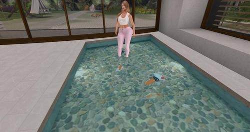 Web 594b563c289dd2725f000001