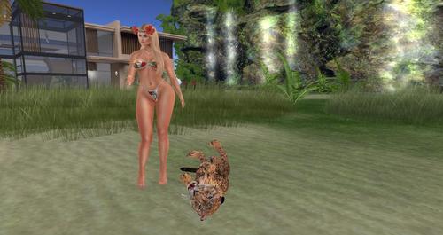 Web 594cdfae73ed170ee1000001