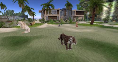 Web 594db2bf289dd25623000001