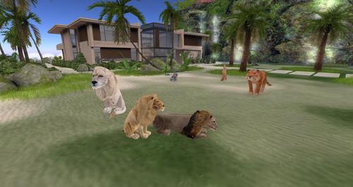 Web 594db30ad9859c3e0c000001