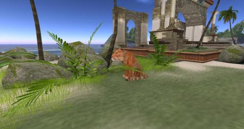 Web 594db3c8d774f82fd8000001