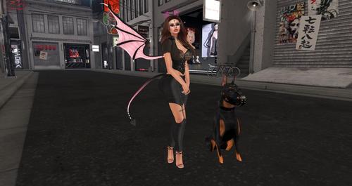 Web 5d97ccdf289dd27505000001