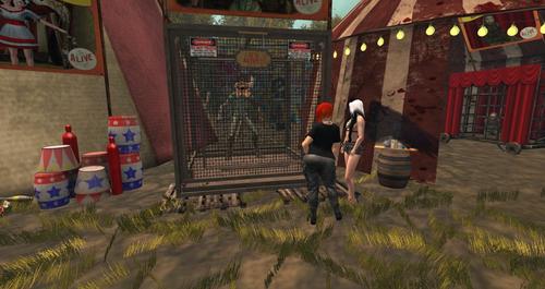 Web 5dae8cbf73ed176c55000001