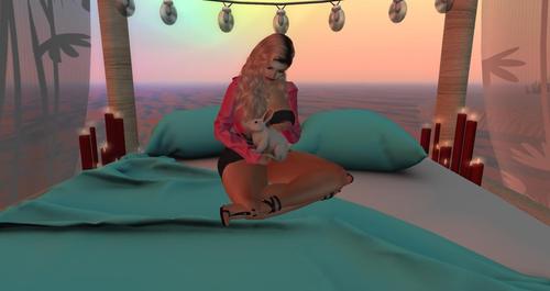 Web 5db0bb4873ed1733d7000001