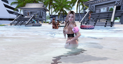 Web 67bbf27da766706505335500