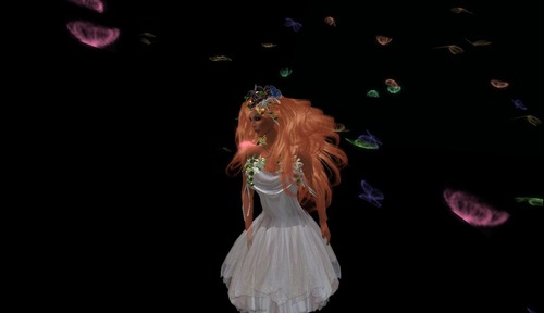 Web 50cec8ef6529a222fc000001