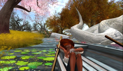 Web 50cf0458032881345c000001