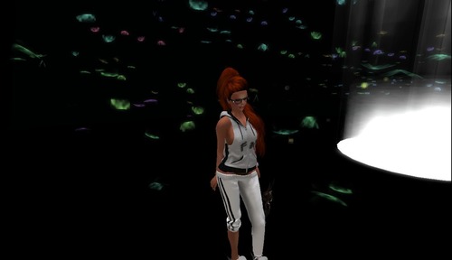 Web 510600adb0979009eb000001