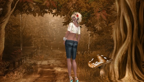 Web 5476dc7a128cc90678000001