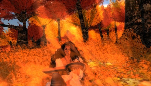 Web 563521e1128cc97f36000001