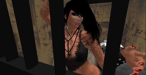 Web 50424bcaafbf6d6da7000001