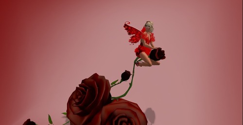 Web 50427f5eae6d9149c6000001