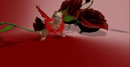 Web 50427f864b93a87712000001