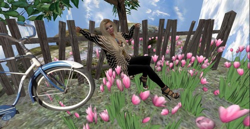 Web 50b6c4cb857a241e06000001