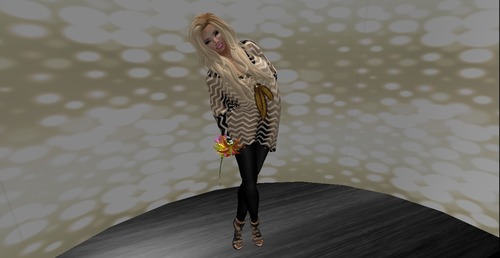 Web 50b8f71868d5991bb1000001