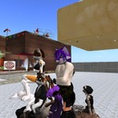 Thumb 50a97f05bad35e3b74000001