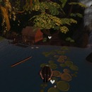 Thumb 54776f228da5724cd4000001