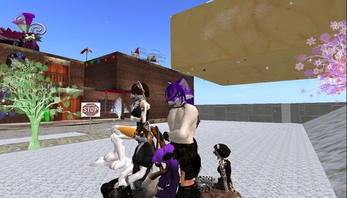 Web 50a97f05bad35e3b74000001