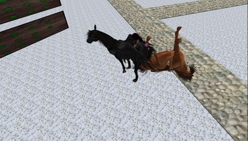 Web 50cbda1767f8bc4b47000001