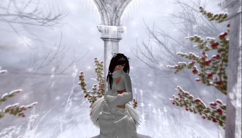 Web 50e8cc3c58598f043a000001