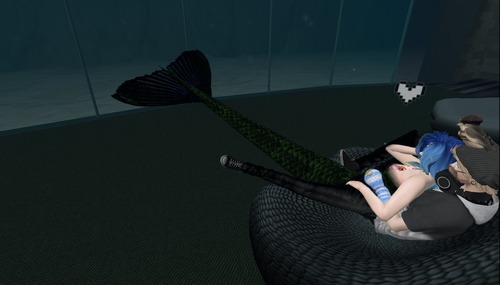 Web 54f2a5648da5720617000001