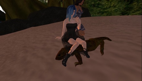 Web 55217d7ca73e21012f000001