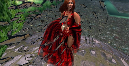 Web 51e29eeee766fc2340000001