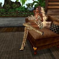 Small 5a81e317d774f810e3000001