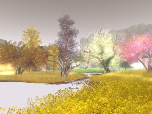 Web 51424b937c8f0a176a000001