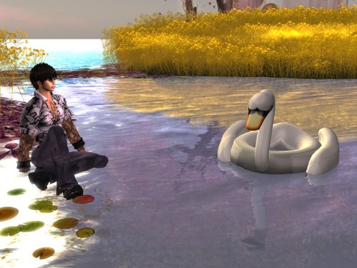 Web 51424fc12826891f5c000001