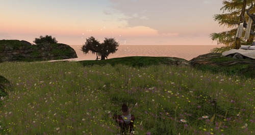 Web 569d3ed39934e06379000001