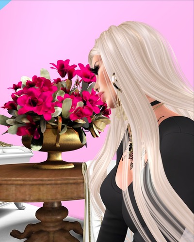 Web 562d4ae9f8a1ec3ffd000001