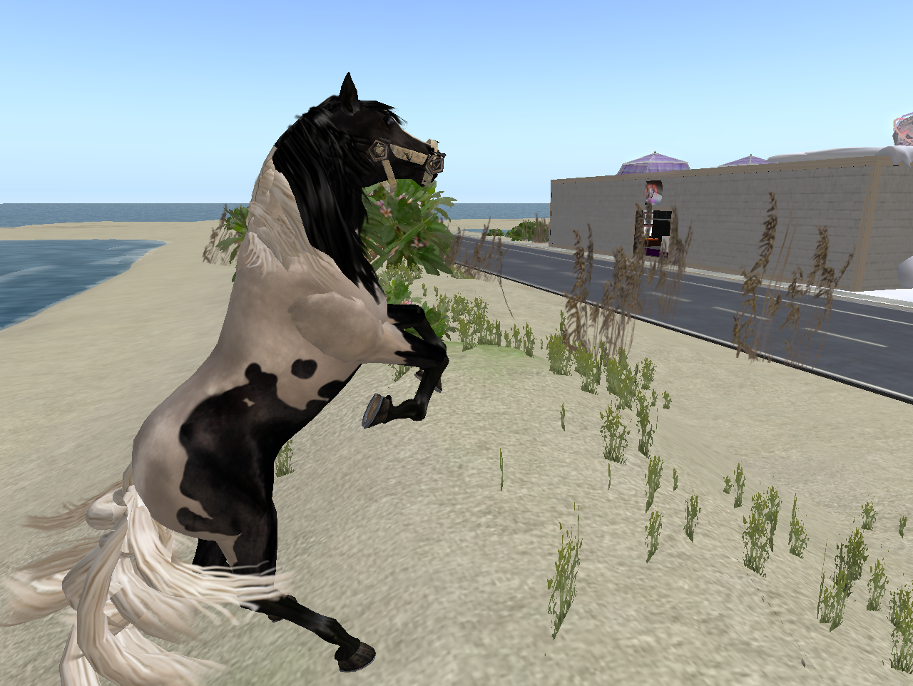 Original 50e2ad3a33f89431f3000001