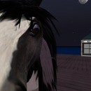 Thumb 5397218bf8a1ec2ddf000001