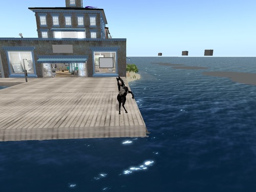 Web 50bb5e5aa31a776b86000001