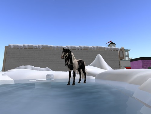 Web 50d903a113402239a7000001