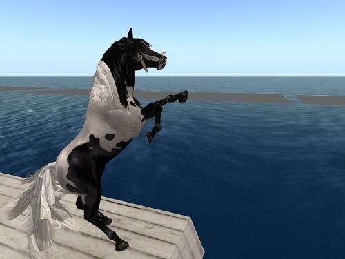 Web 50db2f016e85246d3f000001