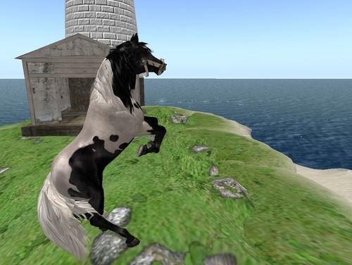 Web 50e2a64777556736c0000001