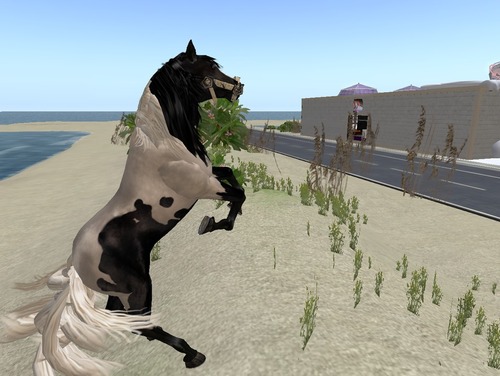 Web 50e2ad3a33f89431f3000001