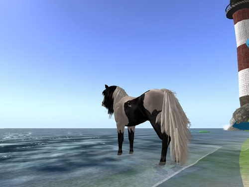 Web 50ec5b98a554167530000001