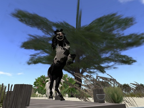 Web 523b24814256541c1b000001